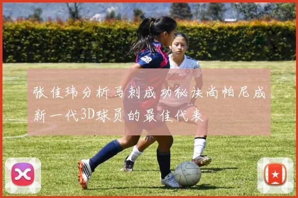 张佳玮分析马刺成功秘诀尚帕尼成新一代3D球员的最佳代表