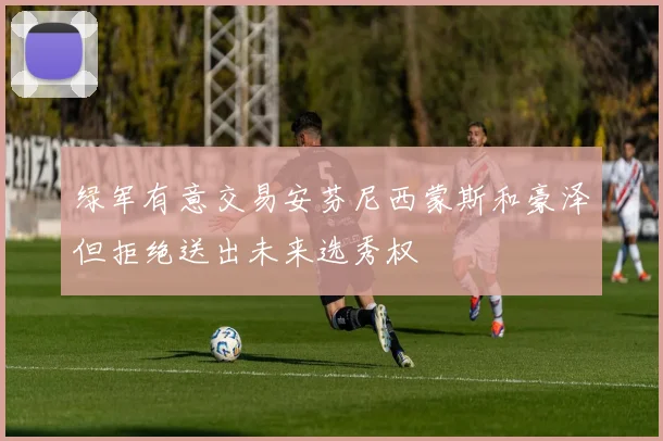绿军有意交易安芬尼西蒙斯和豪泽但拒绝送出未来选秀权