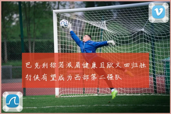 巴克利称若浓眉健康且欧文回归独行侠有望成为西部第二强队