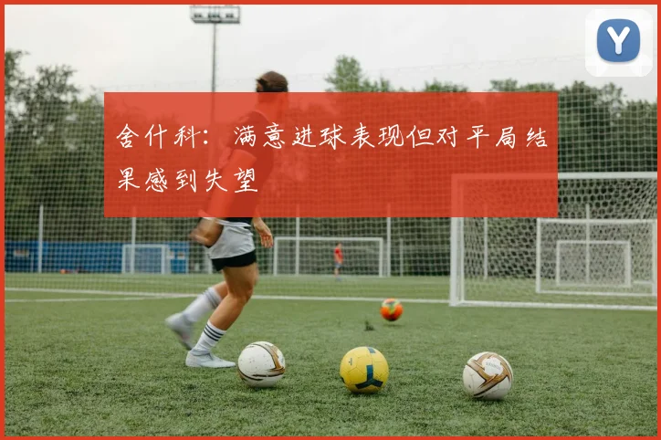 舍什科：满意进球表现但对平局结果感到失望