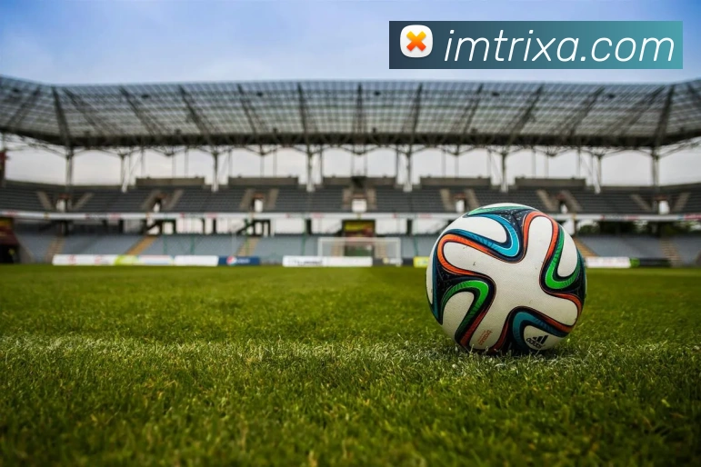 IM体育APP 体育赛事宣传图